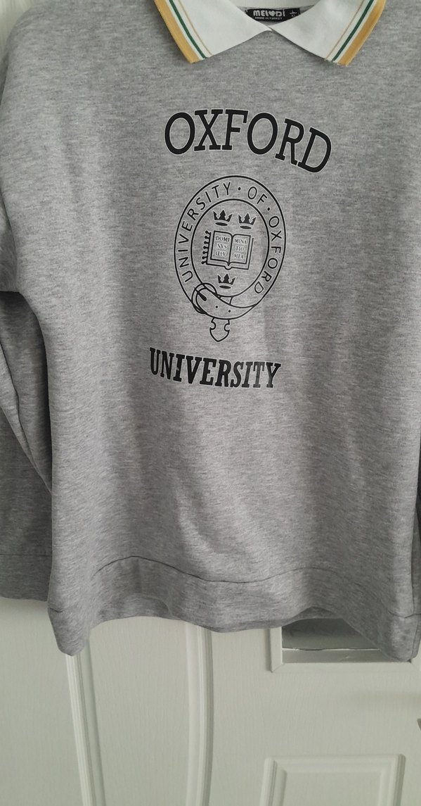 Oxford Baskılı Gri Sweatshirt - Görsel 3