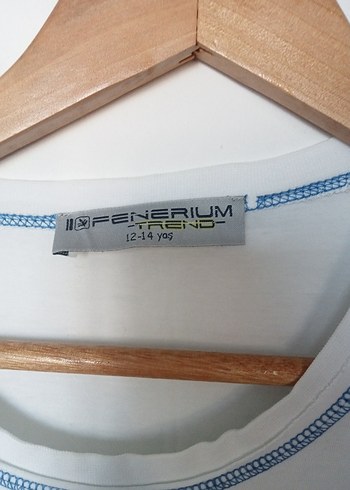 Fenerbahçe Fenerıum Erkek Çocuk Kısa Kollu Tişört - Görsel 3