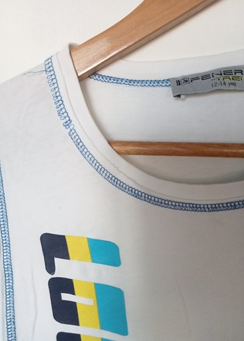 Fenerbahçe Fenerıum Erkek Çocuk Kısa Kollu Tişört - Görsel 4