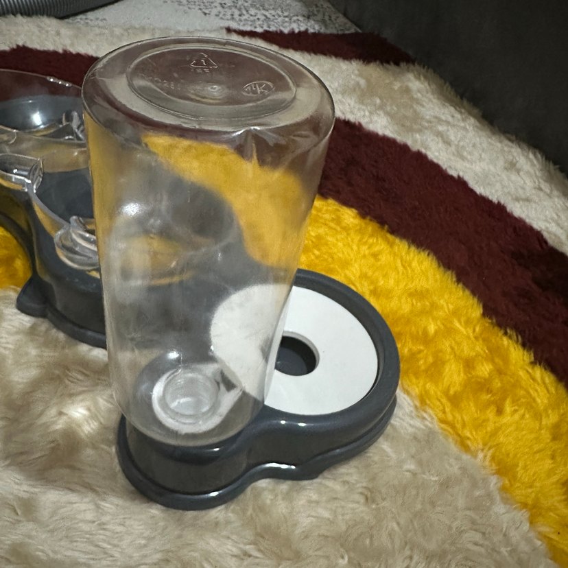 Gri Kedi Mama ve Su Kabı Seti - Görsel 2