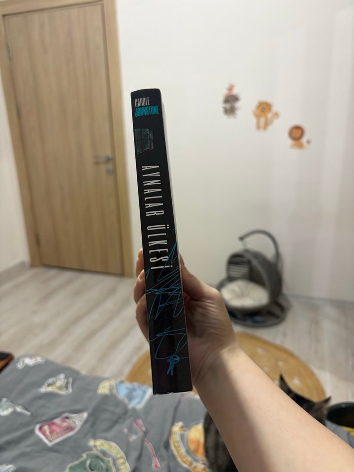 Aynalar Ülkesi - Carole Johnstone - Görsel 2