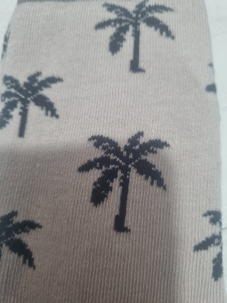 Bej Kısa Erkek Çoraplar Siyah Palmiye Desenli - Görsel 3