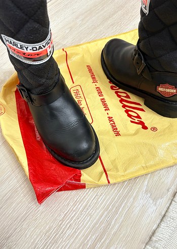 Harley bot - Görsel 5