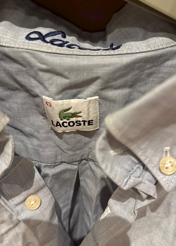 Lacoste erkek gömlek - Görsel 2