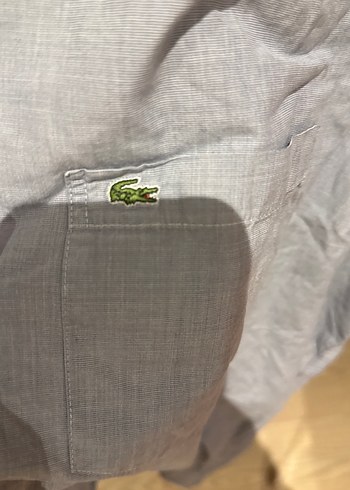 Lacoste erkek gömlek - Görsel 3