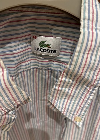LACOSTE Erkek Gri Çizgili Pamuklu Uzun Kollu Gömlek - Görsel 2