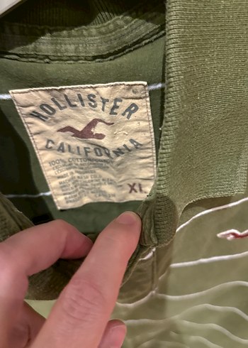 HOLLİSTER Erkek Haki Çizgili Polo Tişört - Görsel 2