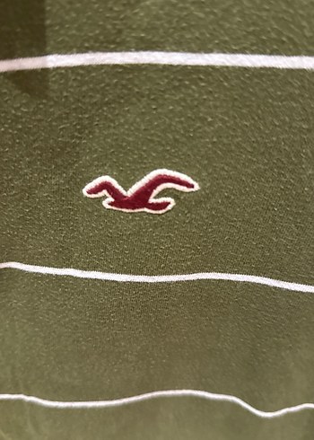 HOLLİSTER Erkek Haki Çizgili Polo Tişört - Görsel 3