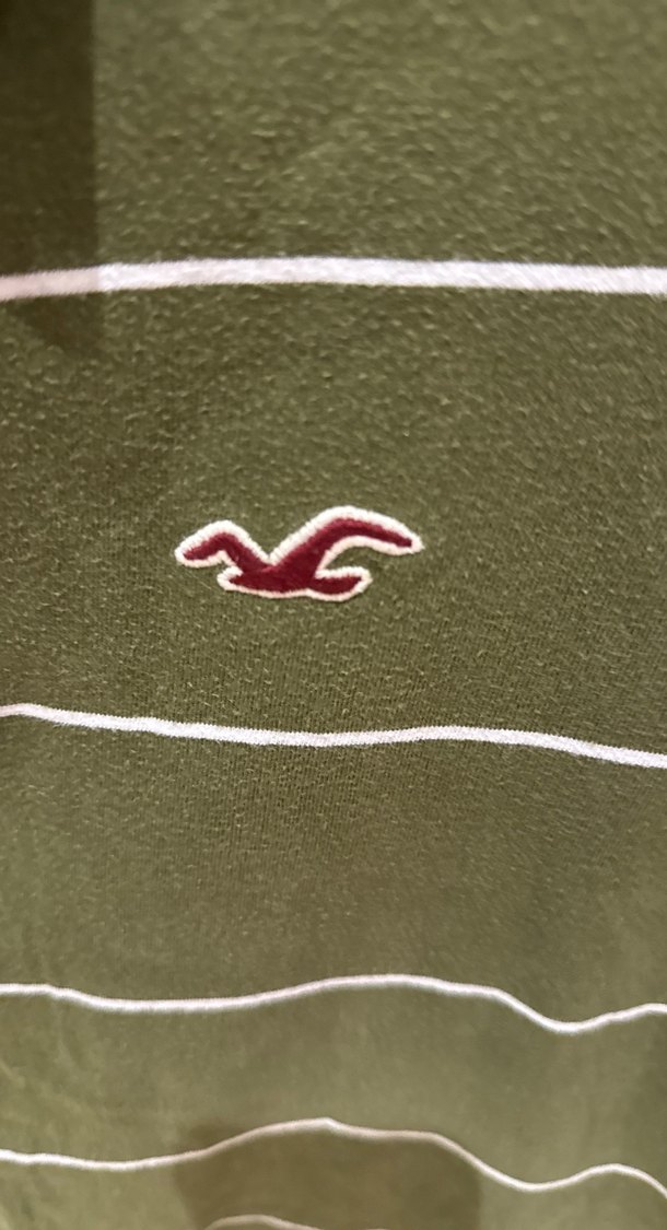 HOLLİSTER Erkek Haki Çizgili Polo Tişört - Görsel 3