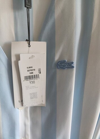 m Beden mavi Renk LACOSTE ELBİSE 