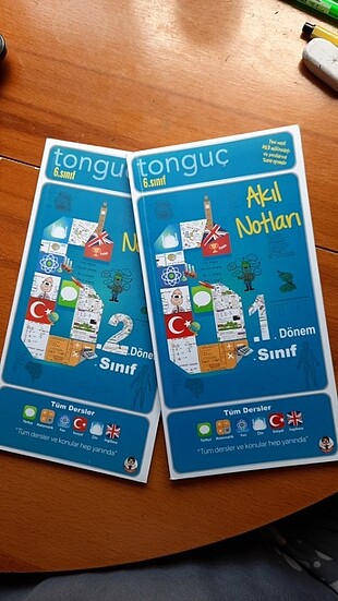 Tonguç Akıl Notları