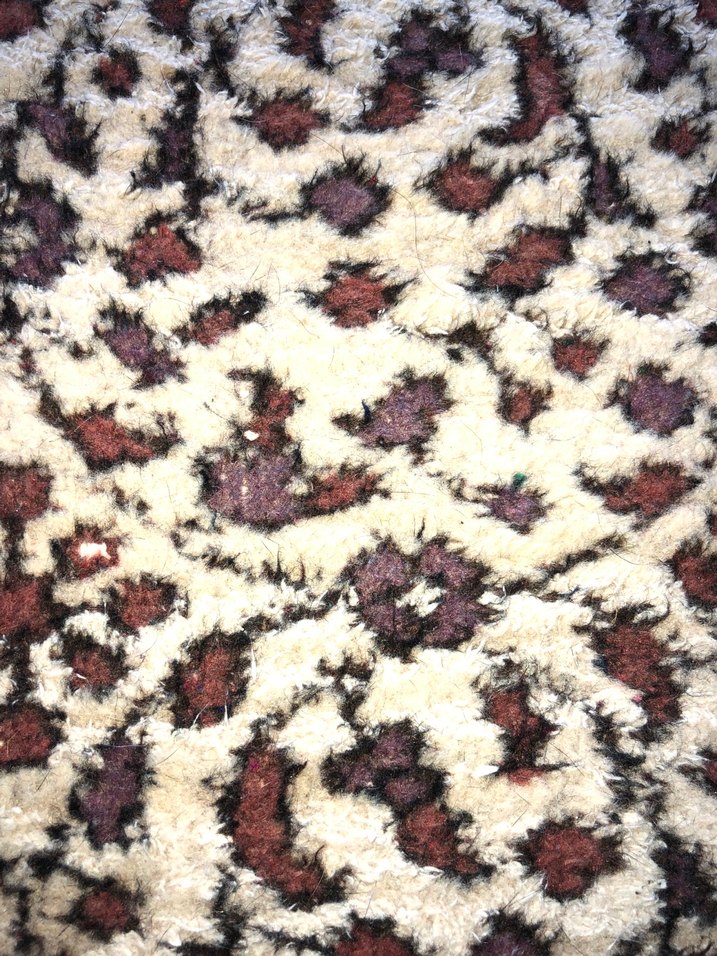 Orijinal ısparta el dokuma Geleneksel Halı - Görsel 4