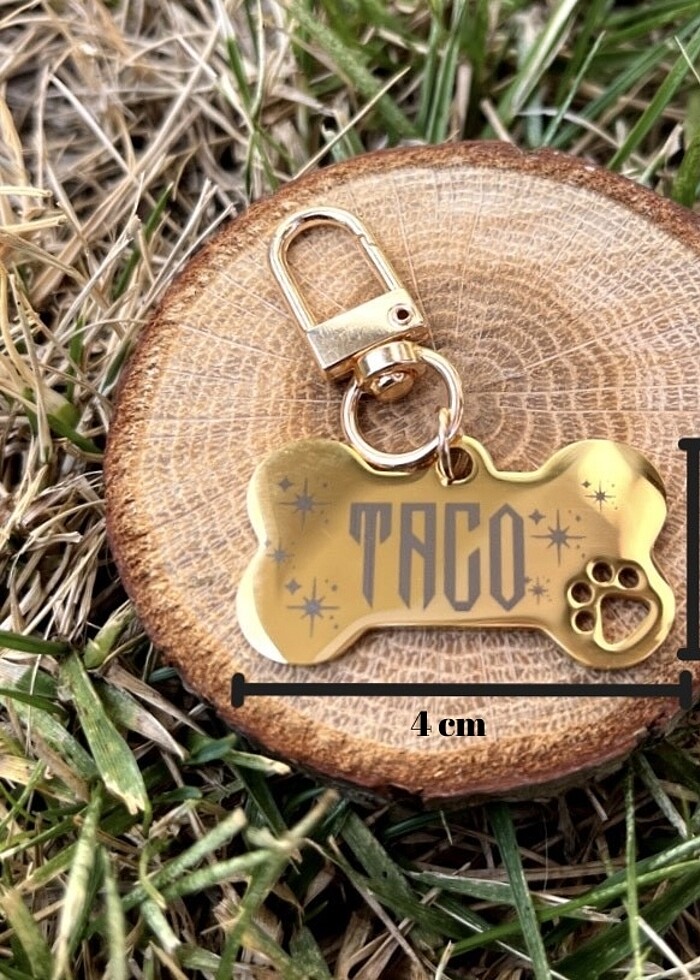 Kişiselleştirilebilir İsimli Kedi Köpek Künyesi - Görsel 2