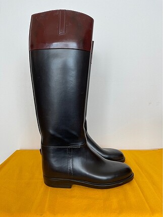 Aigle Binici Boti
