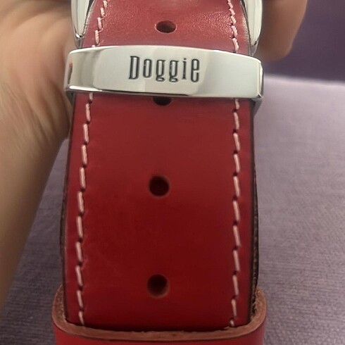 Köpek Tasması