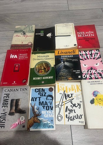 Çeşitli Roman Kitapları Seti teki 100 12 si 1000