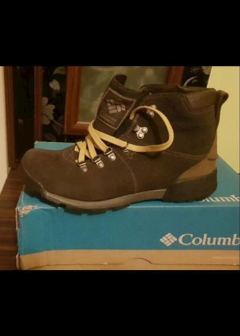 Columbia 43