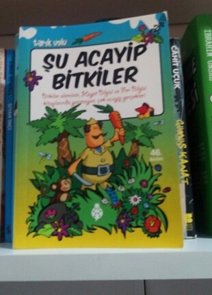  Beden Renk Şu acayip serisi 3 kitap