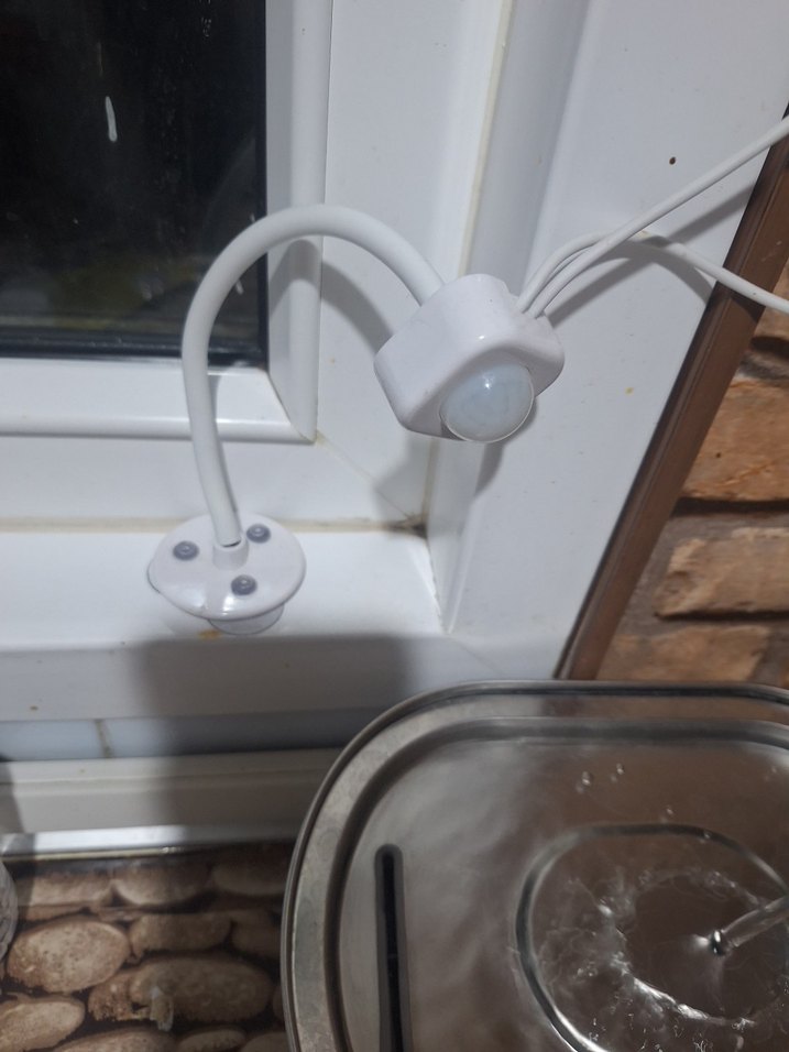 Çelik kedi köpek su kabı - Görsel 3