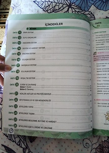Beden YKS Biyoloji Konu Anlatımlı Kitap