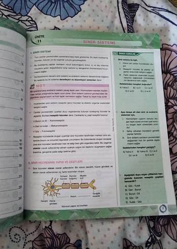 Beden Renk YKS Biyoloji Konu Anlatımlı Kitap