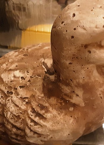 ördek tuzluk aşçı tuzluk porselen sıfır ürünlerdir. hediyeleri - Görsel 17