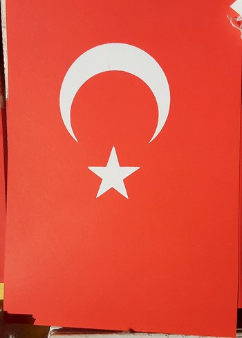 Ay Yıldızlı bayrak - Görsel 9