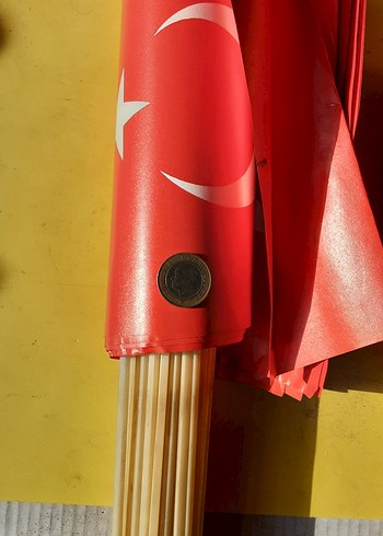 Ay Yıldızlı bayrak - Görsel 5