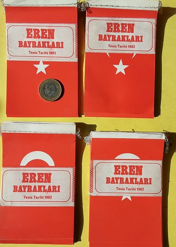 Ay Yıldızlı bayrak - Görsel 11