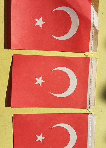 Ay Yıldızlı bayrak - Görsel 13