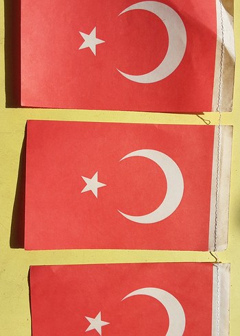 Ay Yıldızlı bayrak - Görsel 14