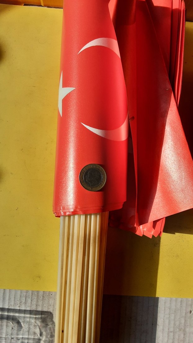 Ay Yıldızlı bayrak - Görsel 5