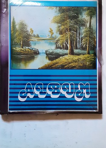 Renkli Mickey Mouse fotoğraf albümleri - Görsel 12