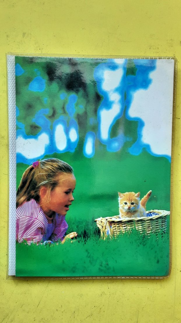 Renkli Mickey Mouse fotoğraf albümleri - Görsel 5