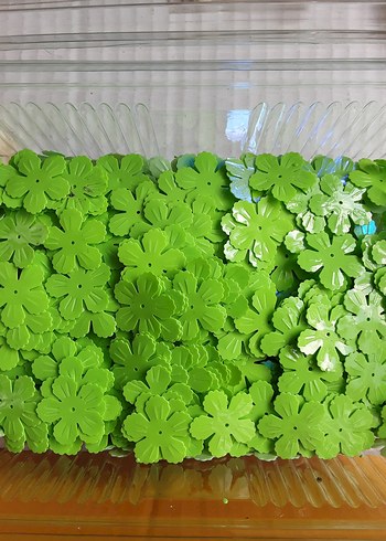 Renkli Çiçek  Süsleri - Görsel 9