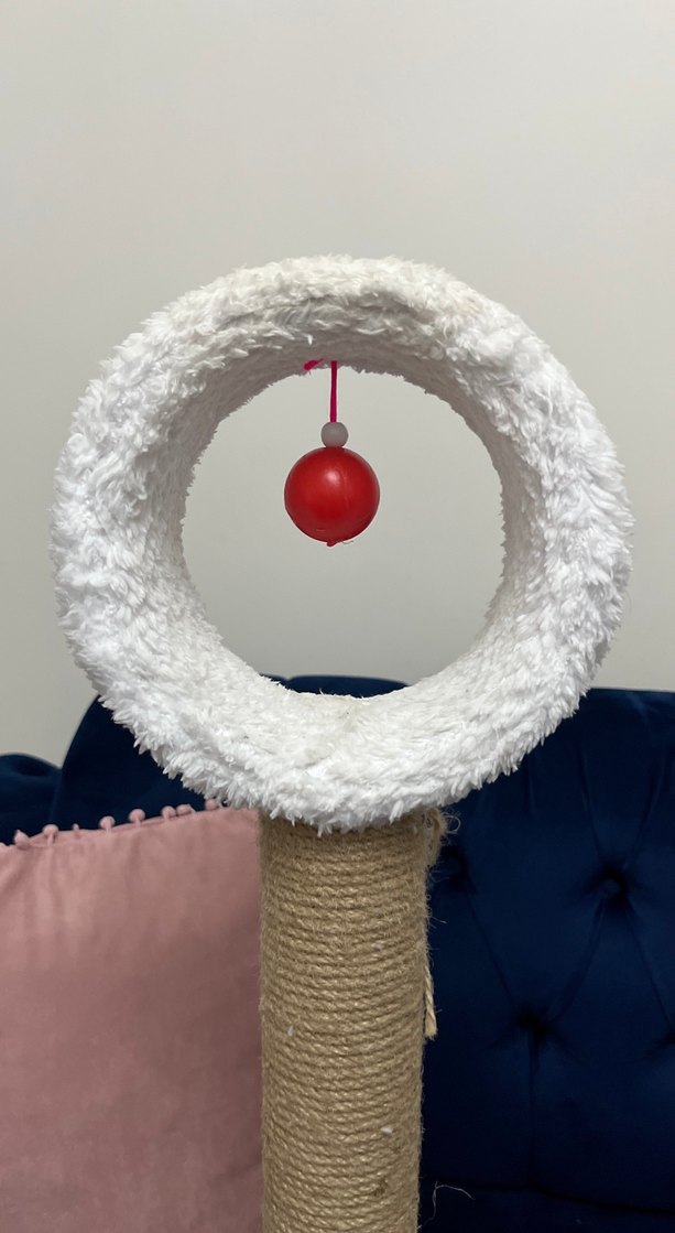 Beyaz Halka Oyuncaklı Kedi Tırmalama Tahtası - Görsel 3