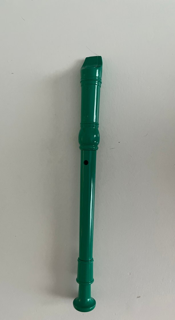 Renkli Yeşil Blokflüt - Görsel 2