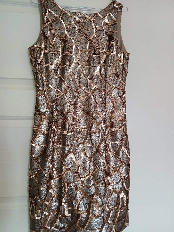 V Yaka Drapeli Yılan Desenli Uzun Elbise - Görsel 3