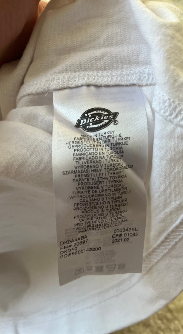 Dickies Beyaz Kısa Kollu Tişört - Görsel 4