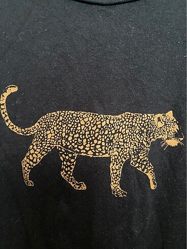 Paulmark Siyah Tshirt
