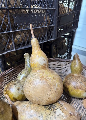 Kahverengi Kaba Figürin - Görsel 6