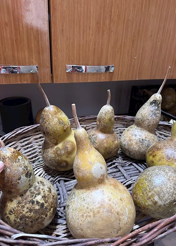 Kahverengi Kaba Figürin - Görsel 8