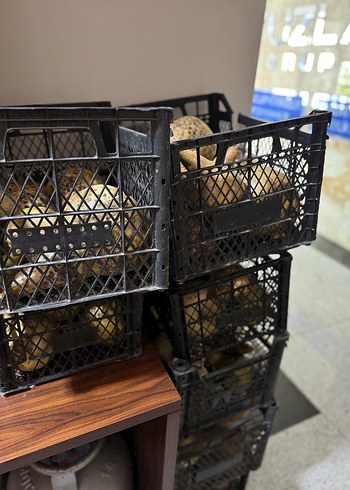 Kahverengi Kaba Figürin - Görsel 4