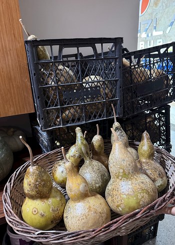 Kahverengi Kaba Figürin - Görsel 5