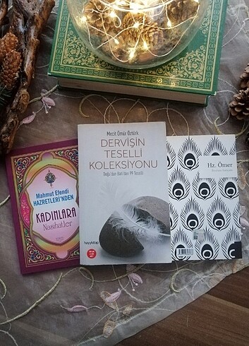 Dervişin teselli koleksiyonu 