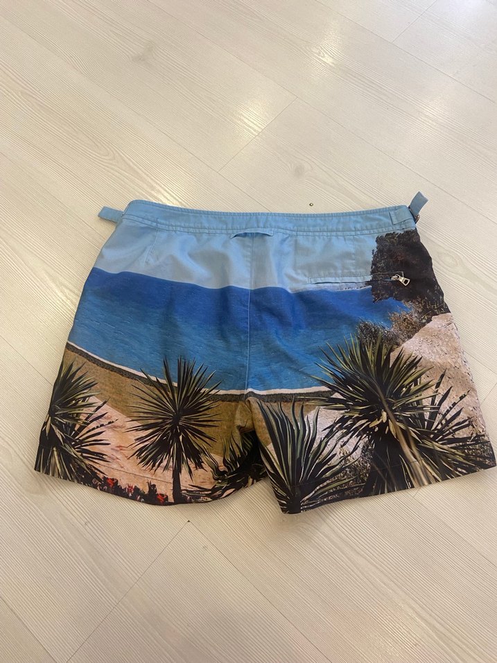 Erkek Mini Desenli Plaj Şortu - Görsel 4