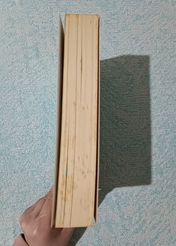 köprü krallığı - danielle l. jensen - Görsel 3