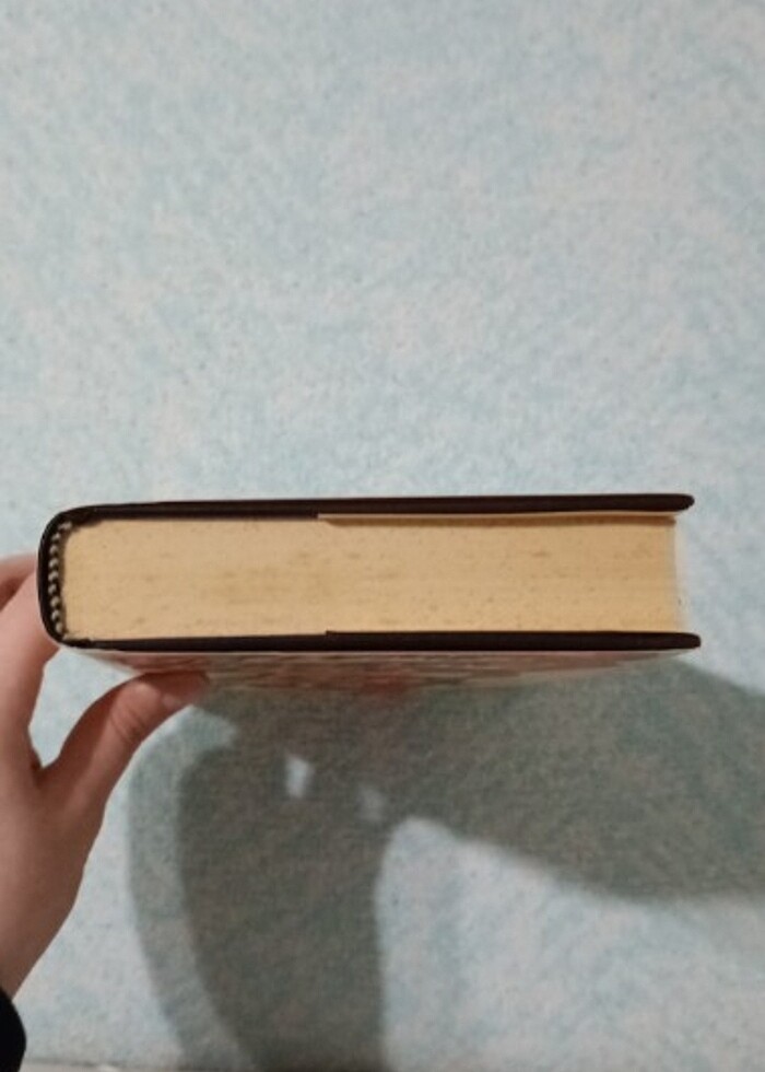 Kaplumbağa kabuğunda dünya  - Görsel 2