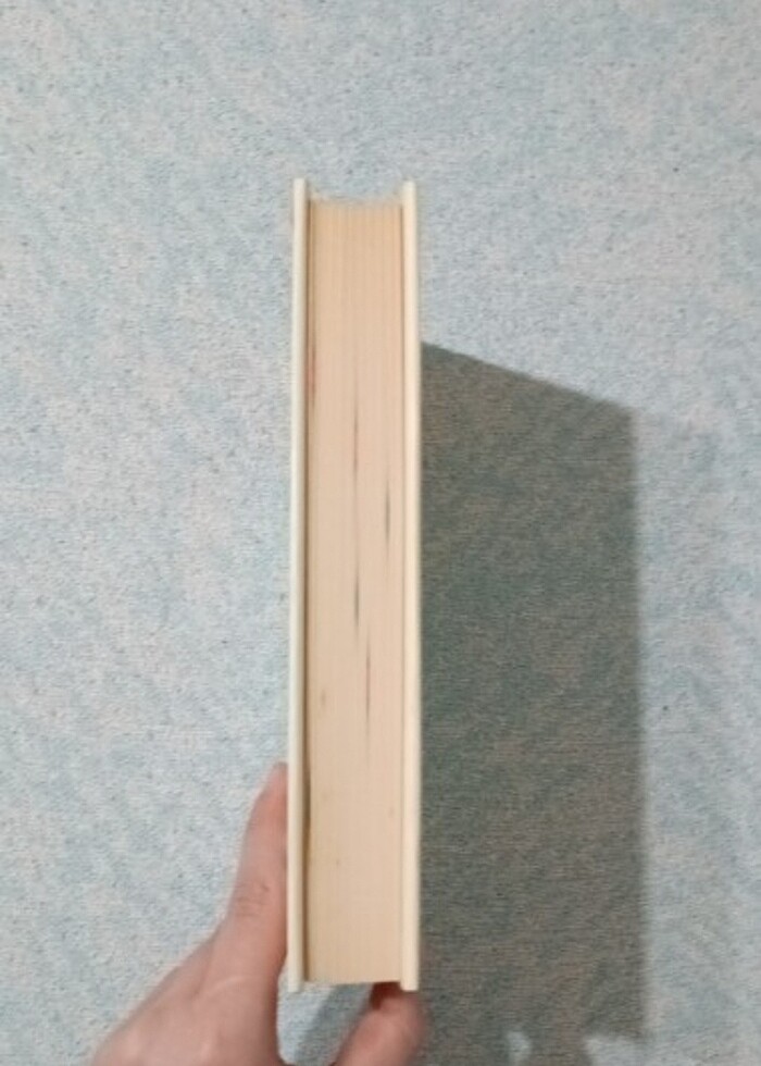 Kaplumbağa kabuğunda dünya  - Görsel 3