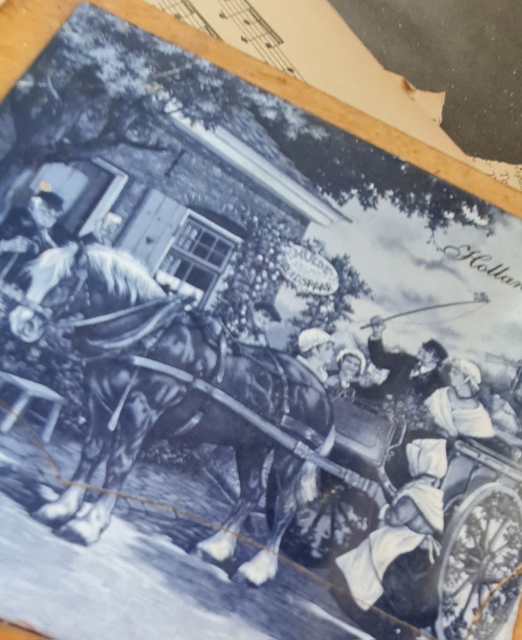 klasik Hollanda mavi-beyaz kadrolu kesme tahtası - Görsel 3